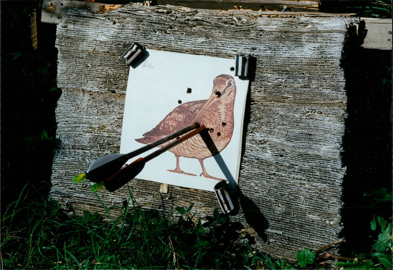 Bow hunting. - Vintage Photograph