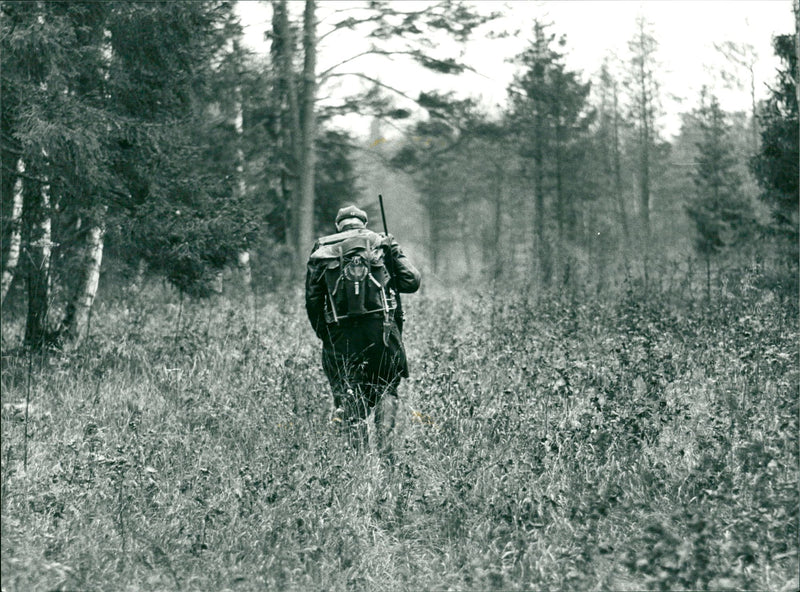 Hunting - Vintage Photograph