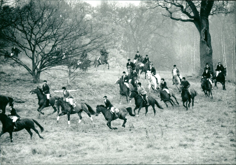 Hunting - Vintage Photograph