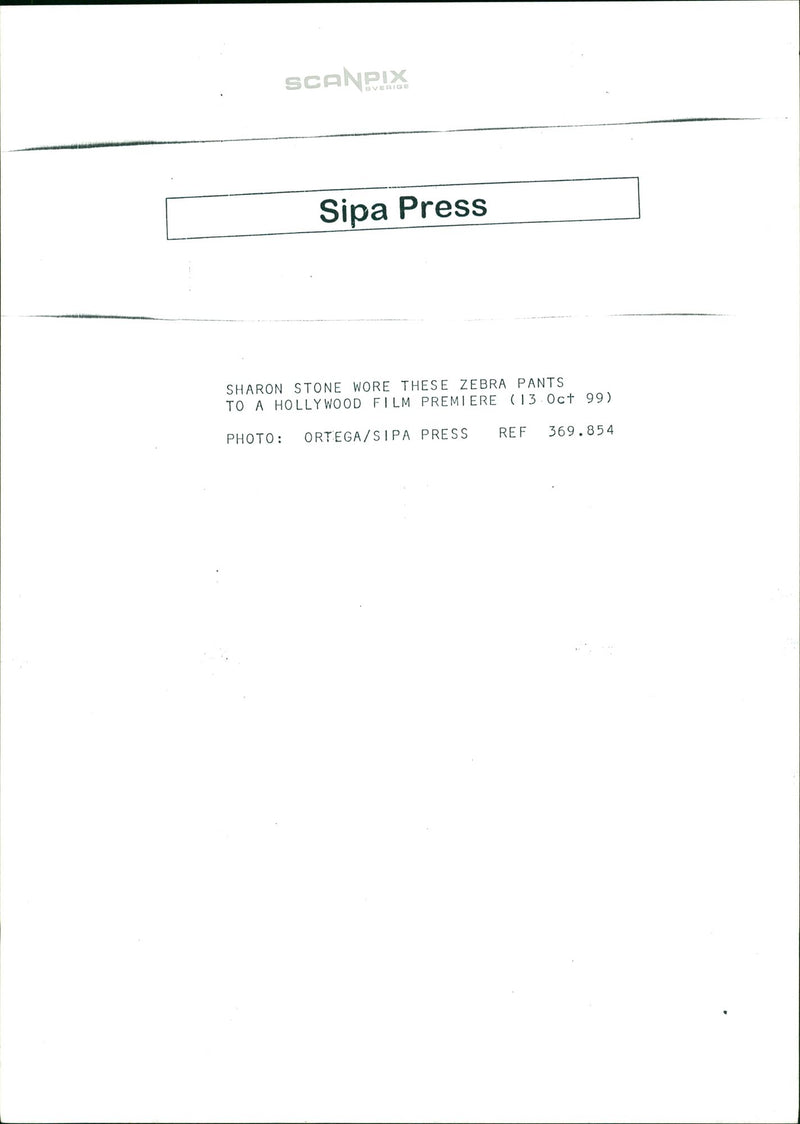 Sharon Stone American Actress and Fashion Model - Vintage Photograph