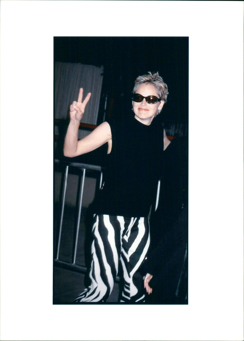 Sharon Stone American Actress and Fashion Model - Vintage Photograph