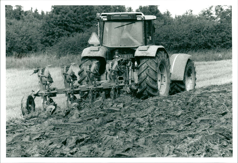 Agriculture - Vintage Photograph