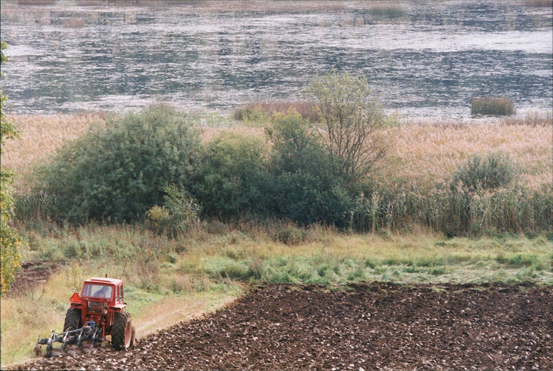 Agriculture - Vintage Photograph