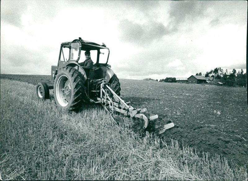 Agriculture - Vintage Photograph