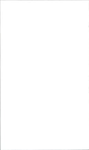 Male model - Vintage Photograph