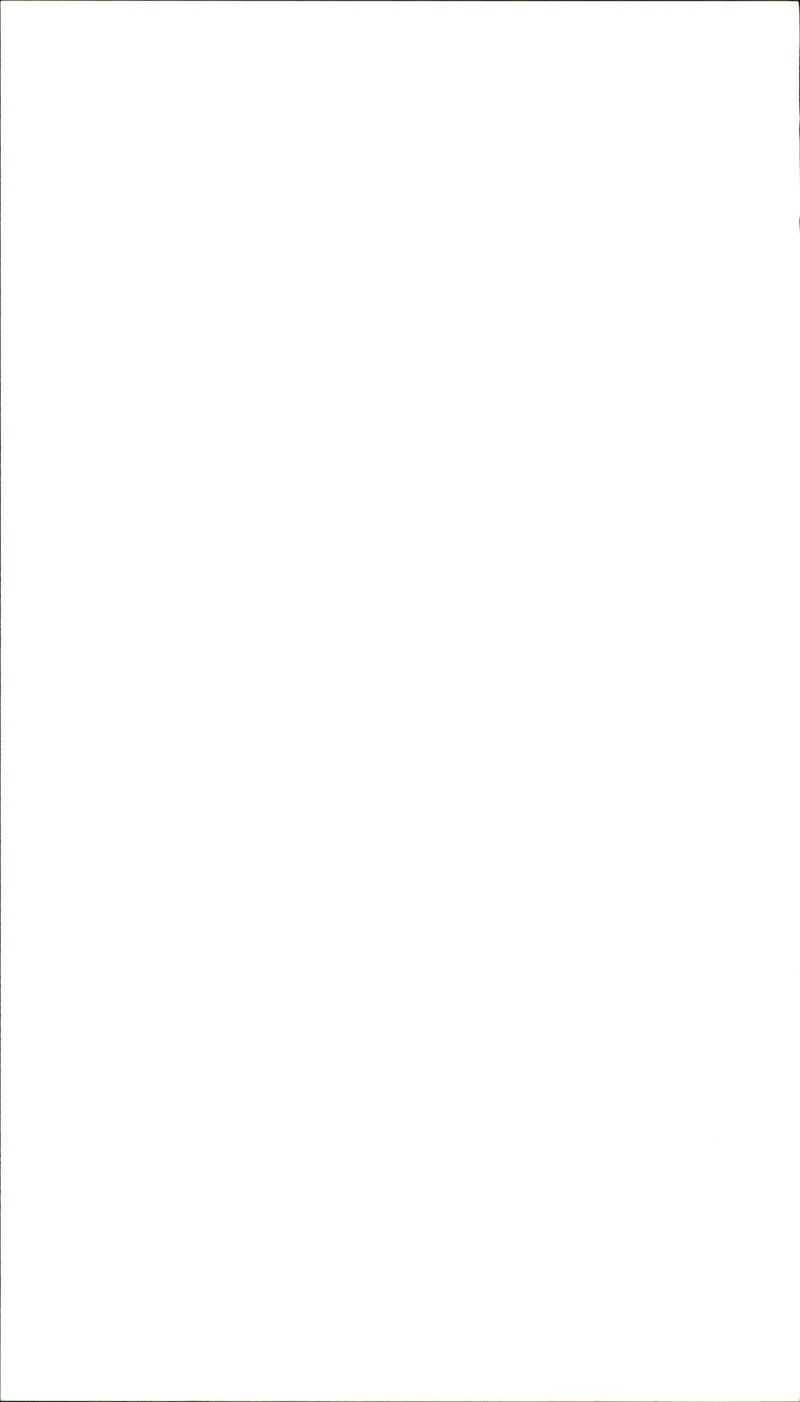 French model - Vintage Photograph