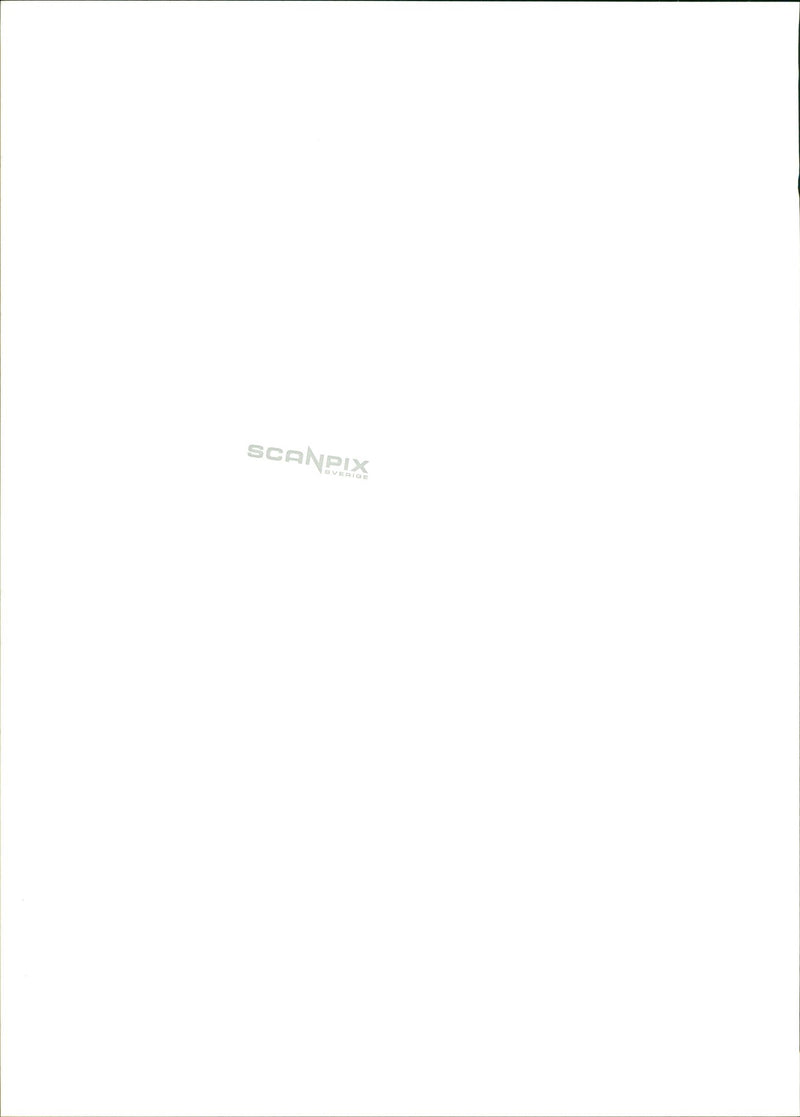 Male models - Vintage Photograph