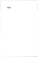 Swedish musician Papa Dee. - Vintage Photograph