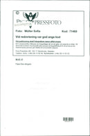 Swedish musician Papa Dee. - Vintage Photograph