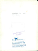 Erik Zetterström is a swedish writer. - Vintage Photograph