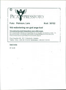 Cars. - Vintage Photograph