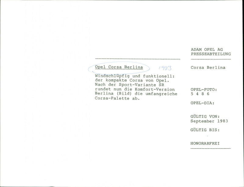 Cars. - Vintage Photograph