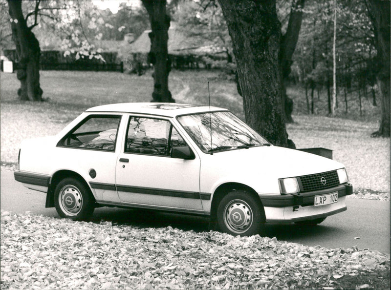 Cars. - Vintage Photograph