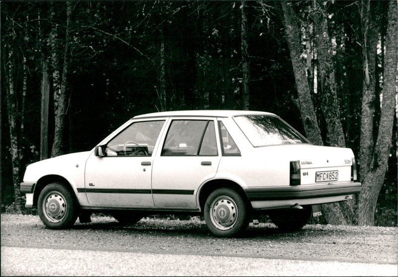 Cars. - Vintage Photograph