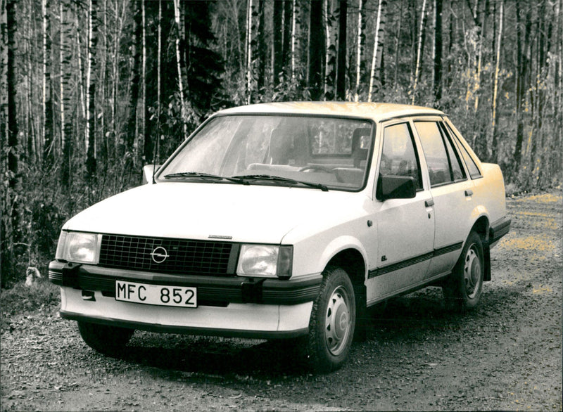 Cars. - Vintage Photograph