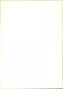 Cars. - Vintage Photograph