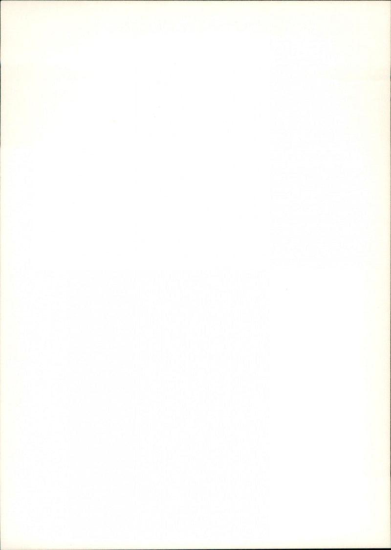 Cars. - Vintage Photograph