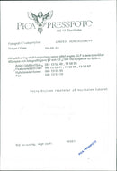 Petra Nielsen and Other Dancers at Musical Cabaret. - Vintage Photograph