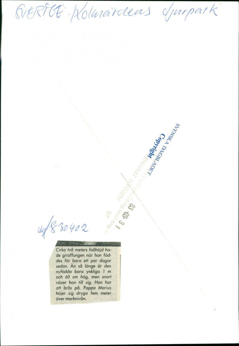 Kolmården wildlife park - Vintage Photograph