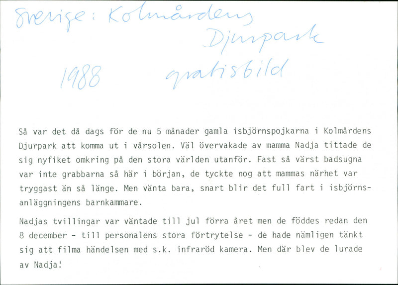 Kolmården wildlife park - Vintage Photograph