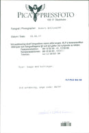 1993 TELEPHOTO PICA DESK ANIMALS IMAGE ACTION DELI NYGREN LENNART - Vintage Photograph