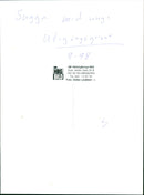 Pigs - Vintage Photograph