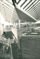 The winter garden is the green lifeblood of Tensta gymnasium. - Vintage Photograph