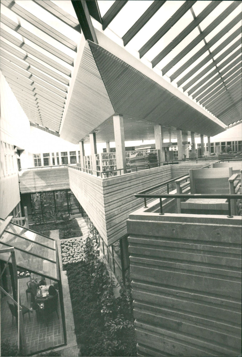 The winter garden is the green lifeblood of Tensta gymnasium. - Vintage Photograph