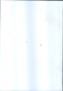 Prince Charles and Princess Anne - Vintage Photograph