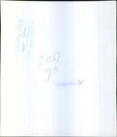 Queen Elizabeth II on her way to the state opening of the parlament 1971 - Vintage Photograph