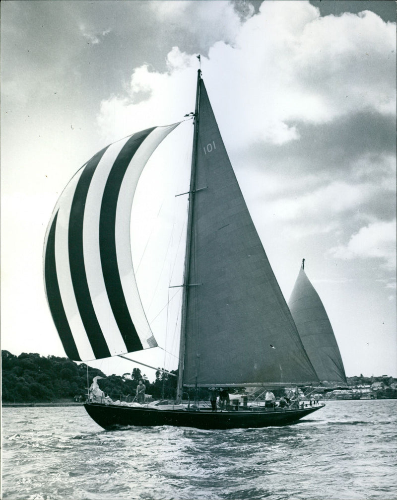 Bloodhound, the yacht bought by the Queen and the Duke - Vintage Photograph