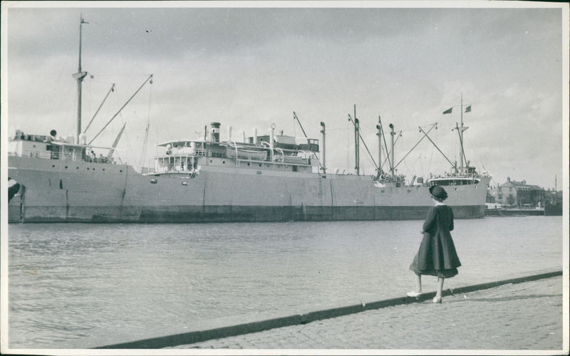 Baltic Swift - Vintage Photograph