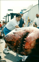 Animals Fish: Sharks - Vintage Photograph