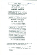 Animals Fish: Sharks - Vintage Photograph