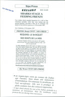 Animals Fish: Sharks - Vintage Photograph