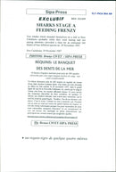 Animals Fish: Sharks - Vintage Photograph