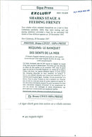 Animals Fish: Sharks - Vintage Photograph