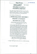 Animals Fish: Sharks - Vintage Photograph