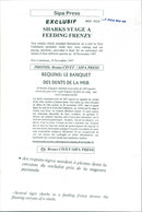 Animals Fish: Sharks - Vintage Photograph