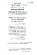 Animals Fish: Sharks - Vintage Photograph