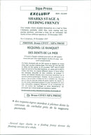 Animals Fish: Sharks - Vintage Photograph