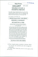 Animals Fish: Sharks - Vintage Photograph