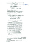 Animals Fish: Sharks - Vintage Photograph