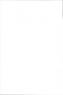 Animals Fish: Sharks - Vintage Photograph