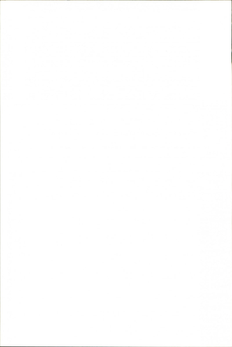 Animals Fish: Sharks - Vintage Photograph