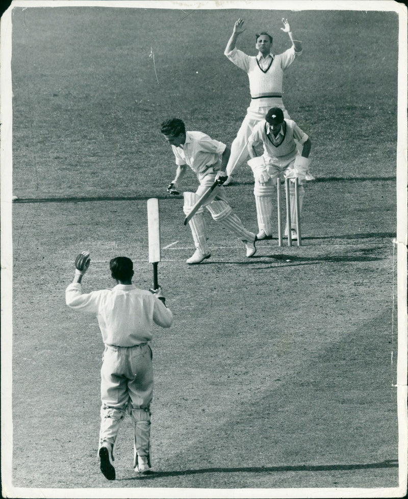 Cricket - Vintage Photograph