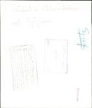 Cricket in Raw lambshov - Vintage Photograph