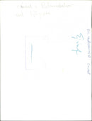 Cricket in Raw lambshov - Vintage Photograph