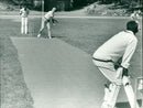 Cricket - Vintage Photograph