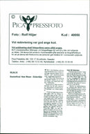 Different Situations in Basketball - Vintage Photograph